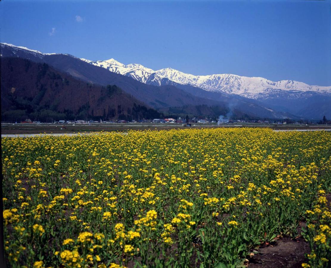 Hakuba Tokyu Hotel Nagano Extérieur photo